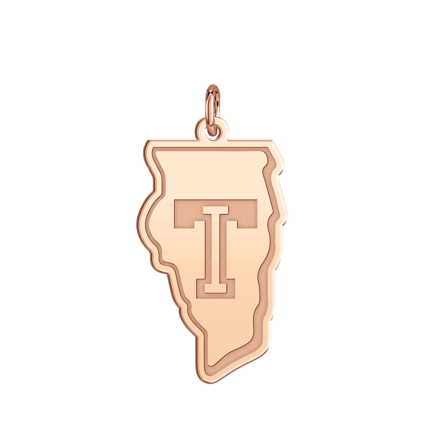 Team Illinois Signature Logo