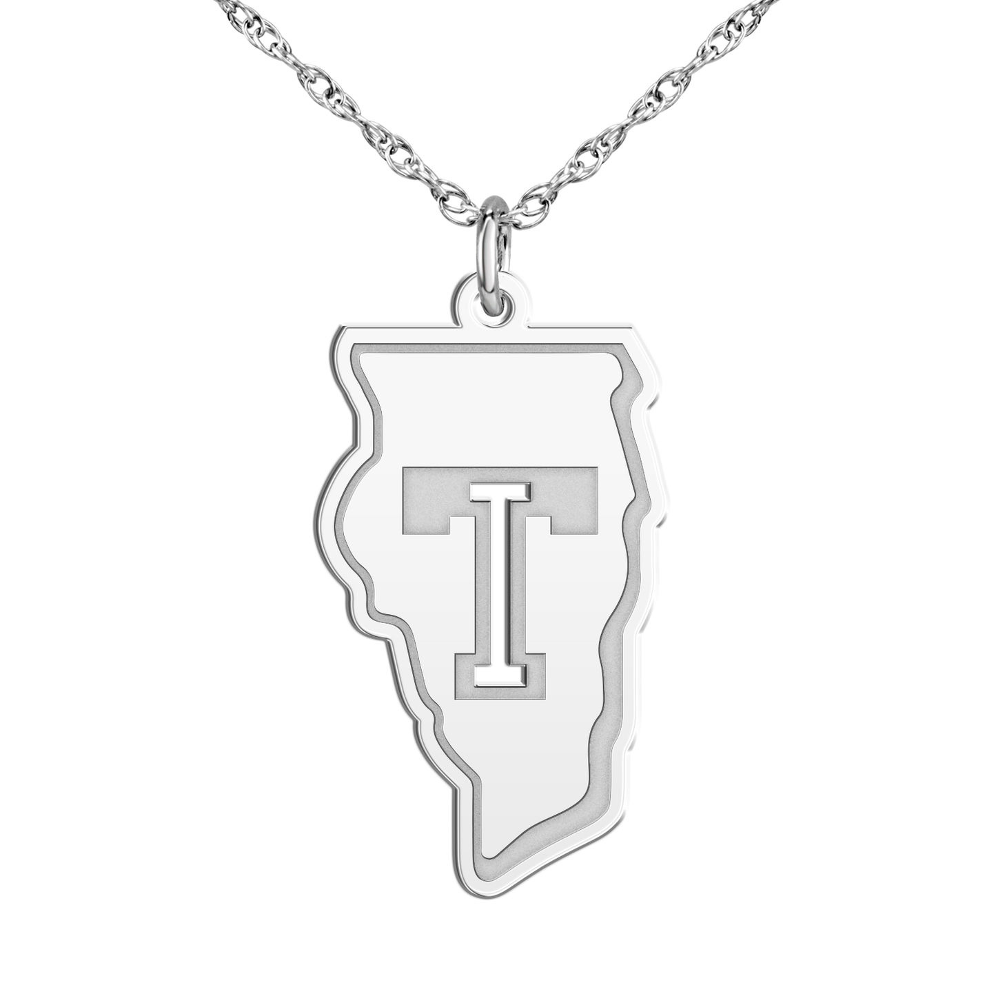 Team Illinois Pierced Signature Logo