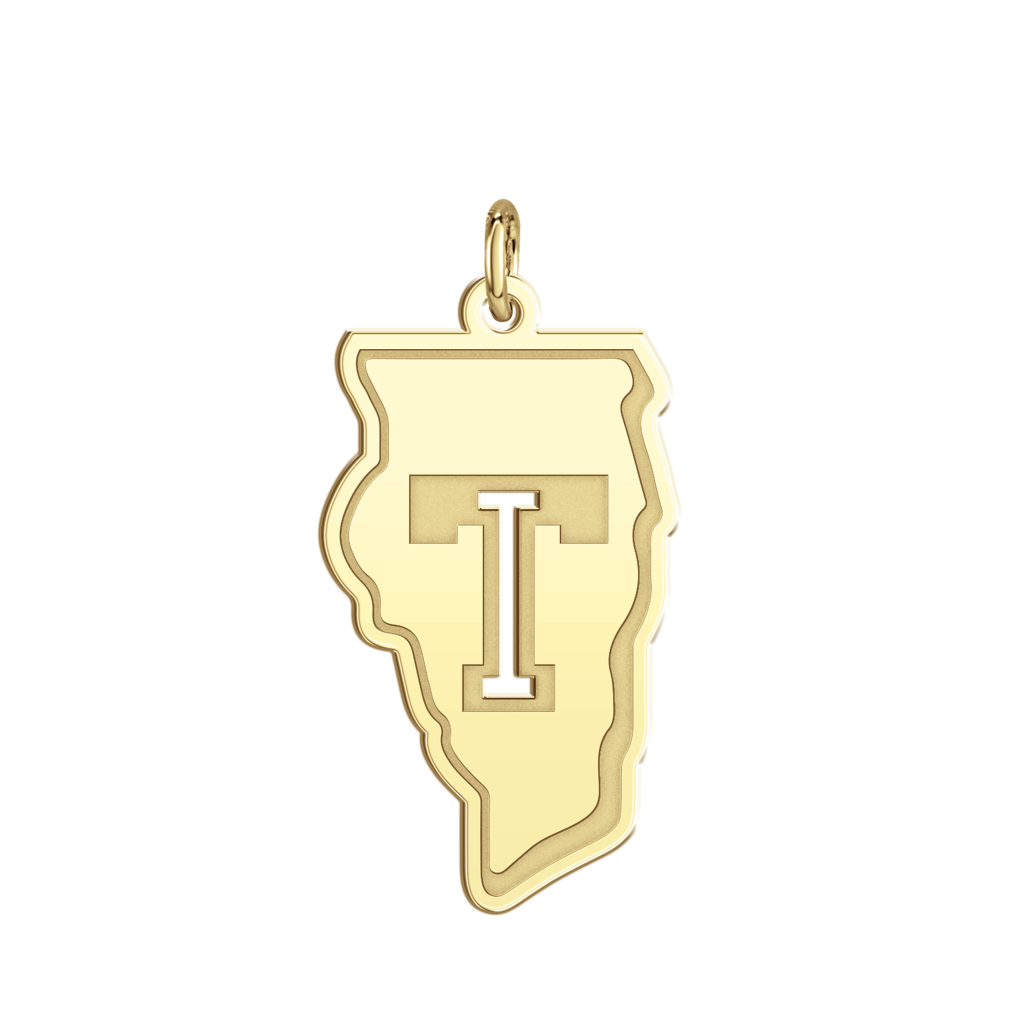 Team Illinois Pierced Signature Logo