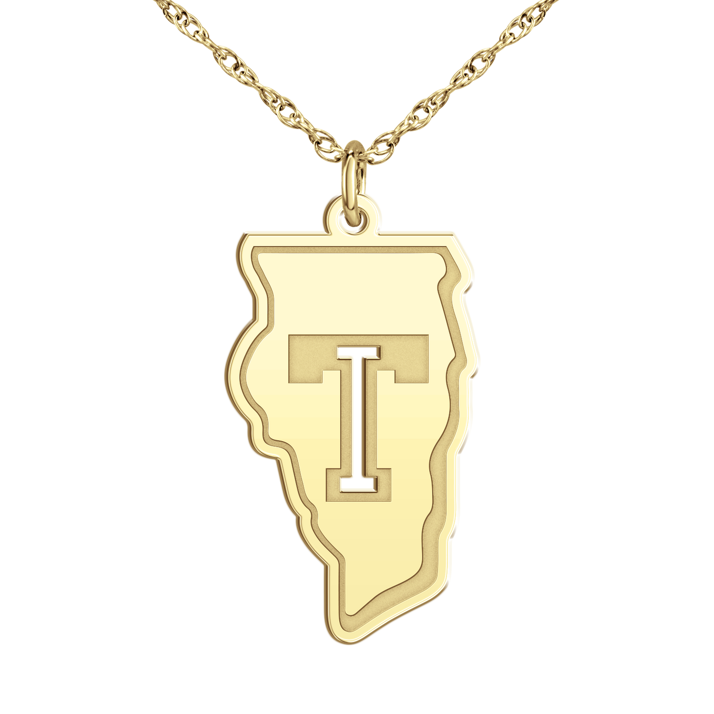 Team Illinois Pierced Signature Logo