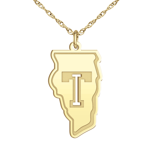 Team Illinois Pierced Signature Logo