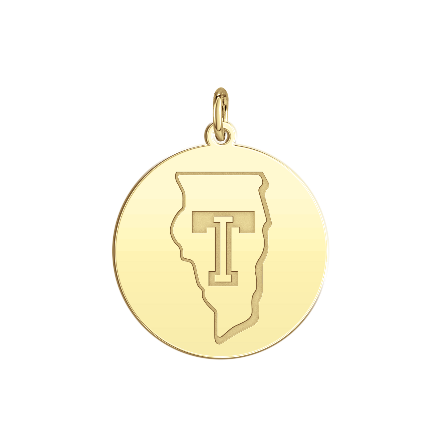 Team Illinois Logo Disc Small