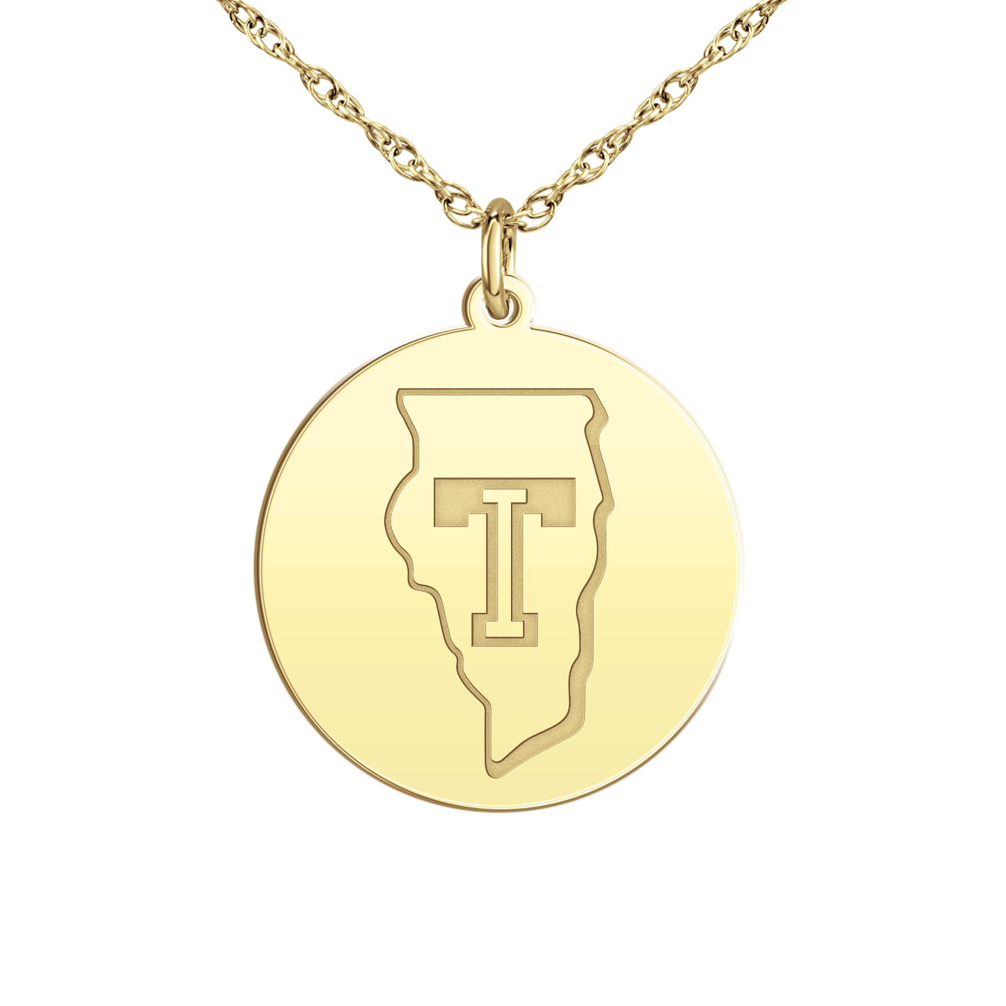 Team Illinois Logo Disc Small