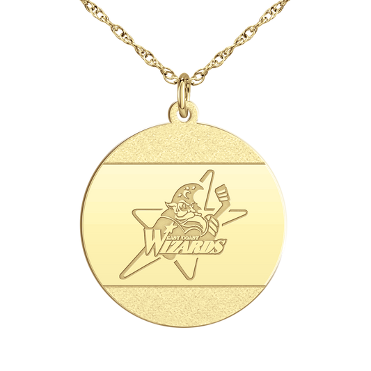 East Coast Wizards Iced Disc