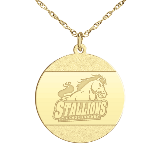 Chicago Stallions ICED Signature Disc Large