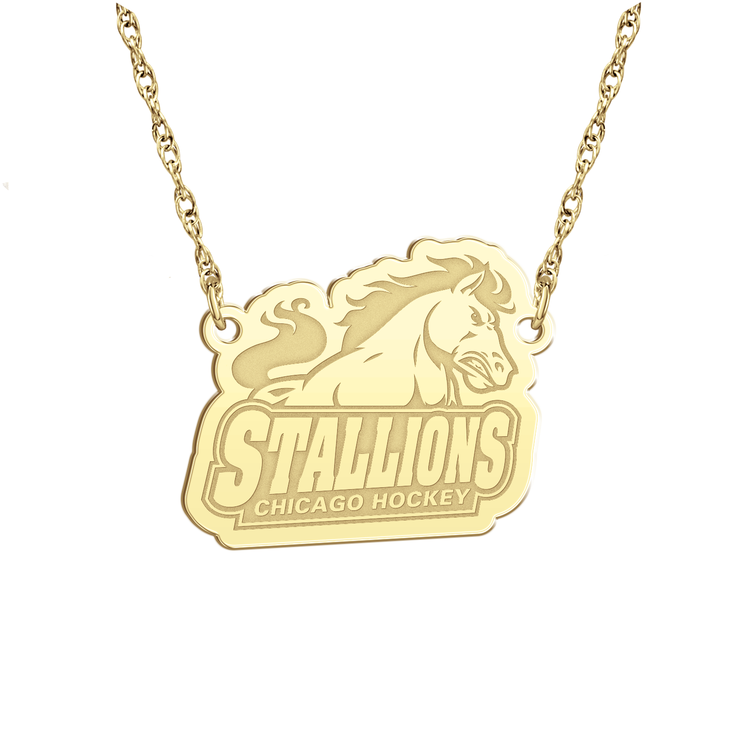 Iced Out Chicago Bulls Pendant Necklace – Eileenjewelry