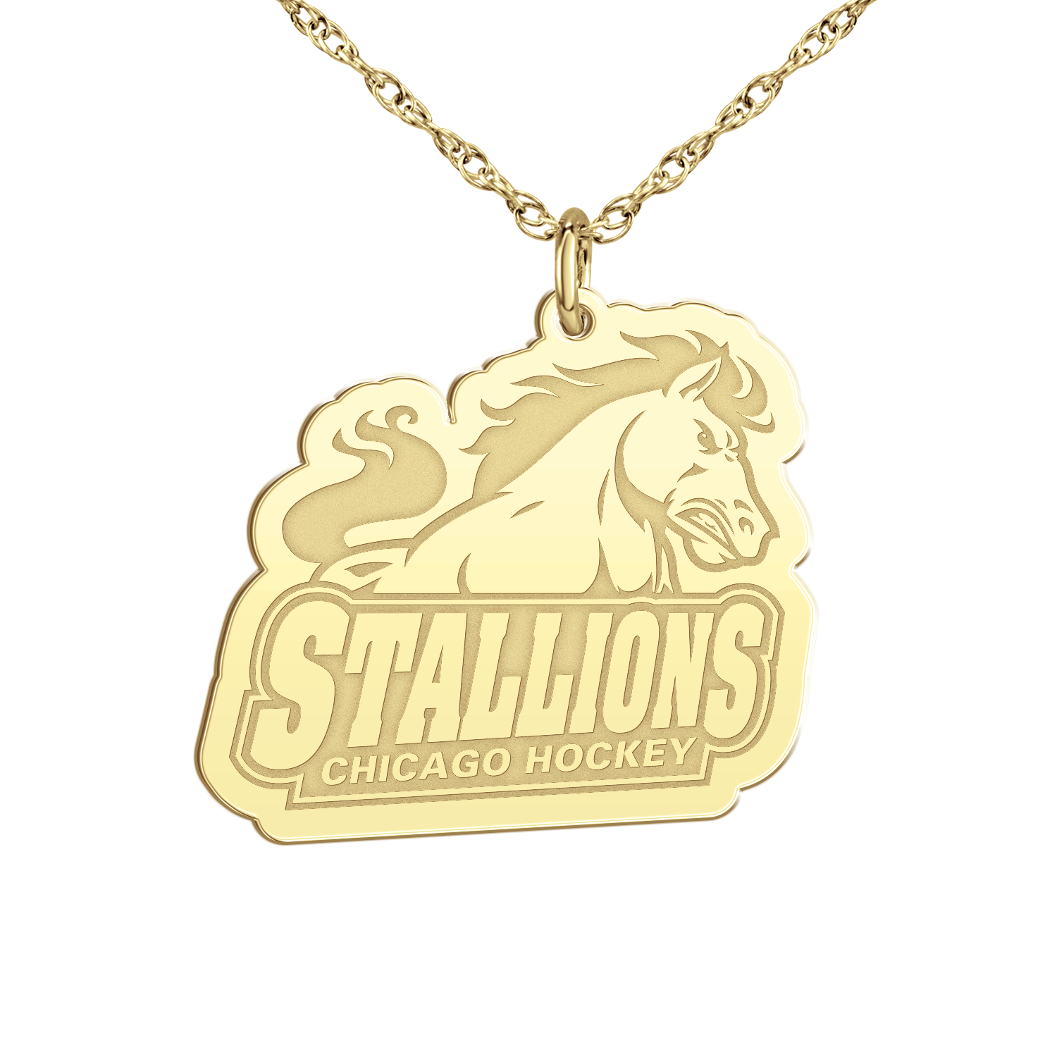 Chicago Stallions Signature Logo Pendant