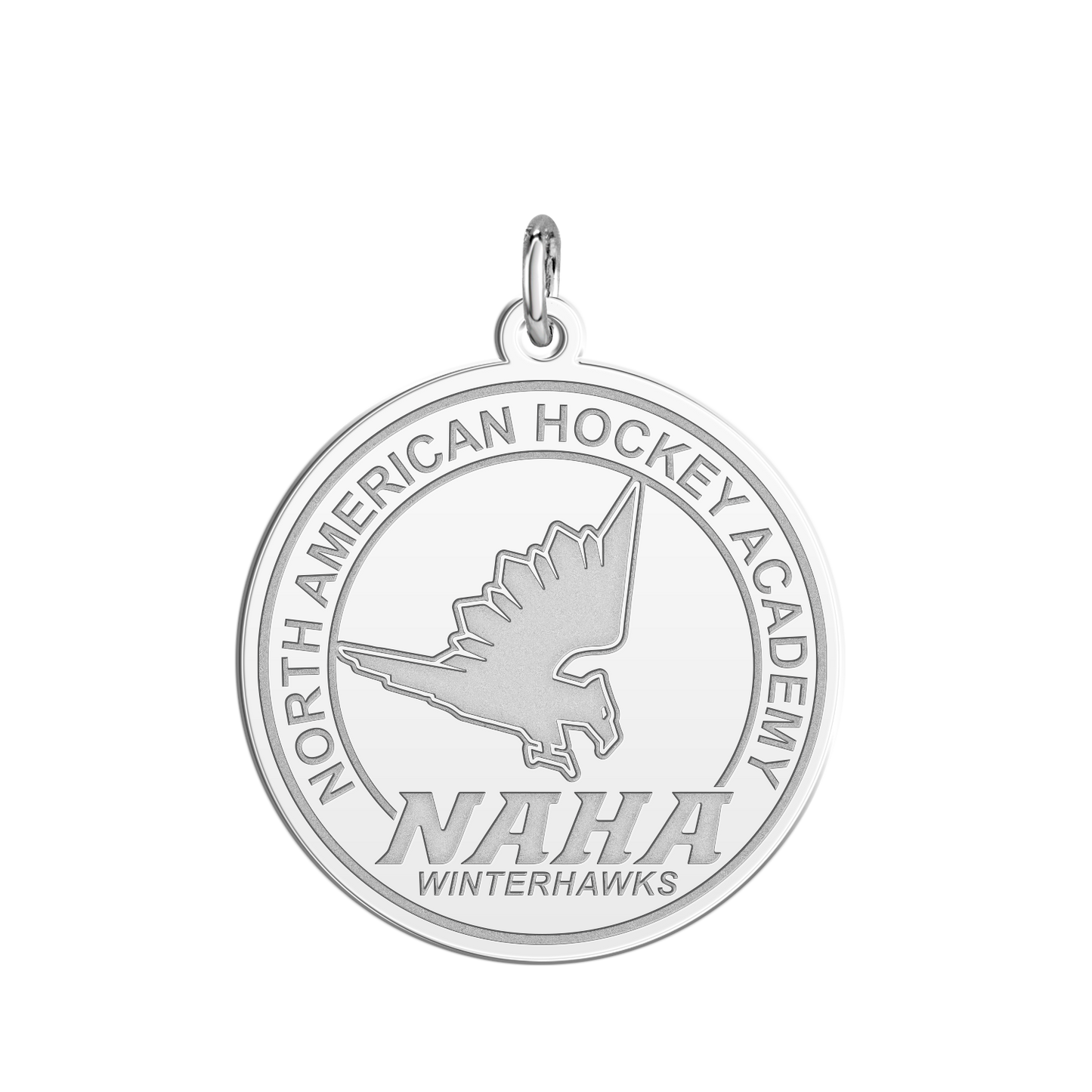 NAHA Logo Disc Large