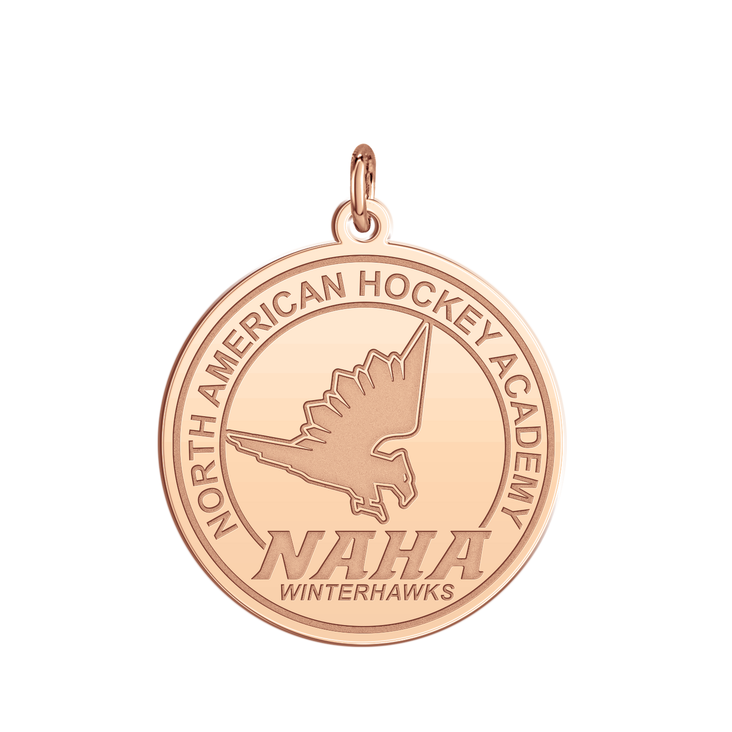 NAHA Logo Disc Large