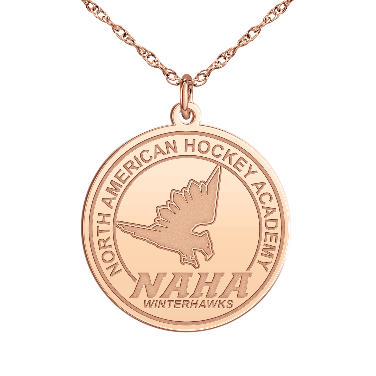 NAHA Logo Disc Large