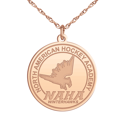 NAHA Logo Disc Large