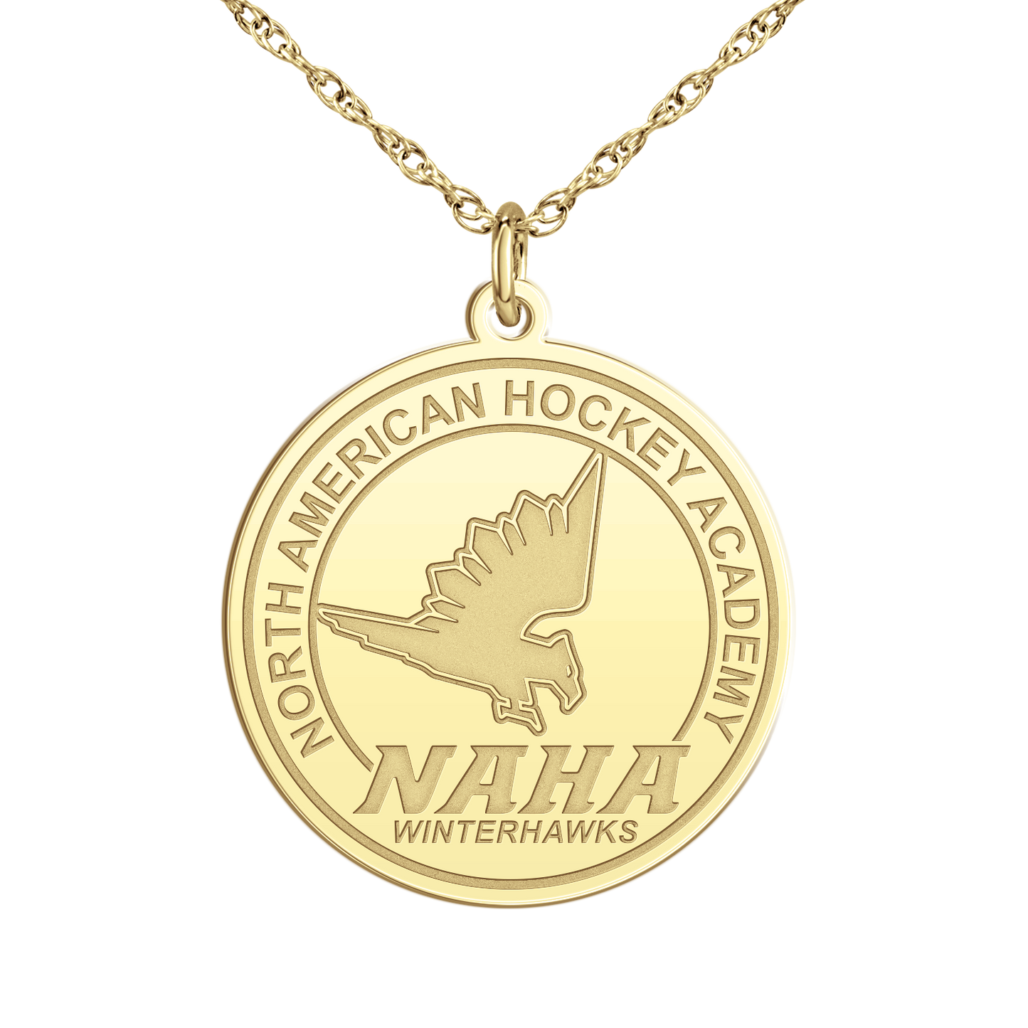 NAHA Logo Disc Large