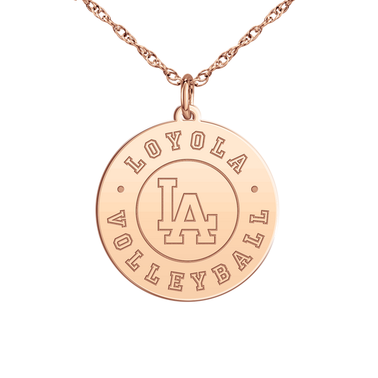 Loyola Academy Volleyball Disc