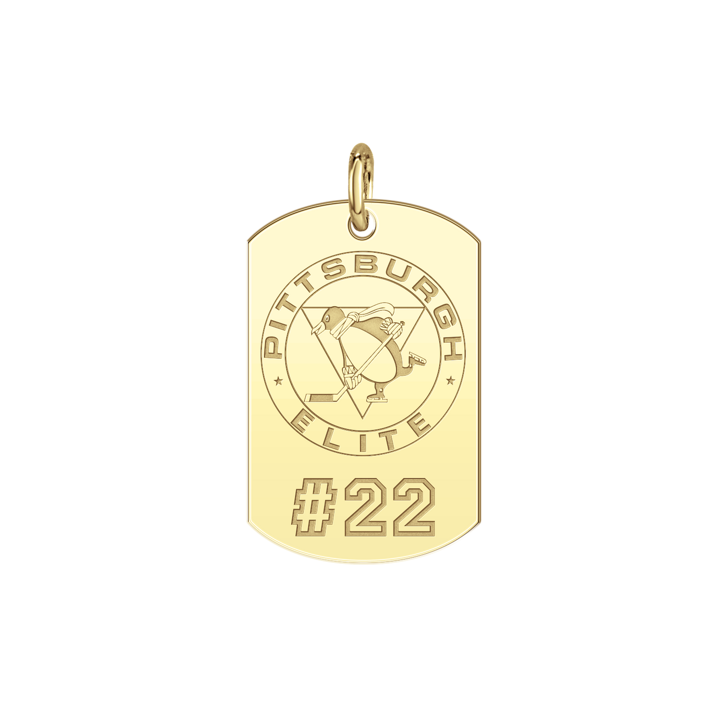 Pittsburgh Elite Players Tag Small