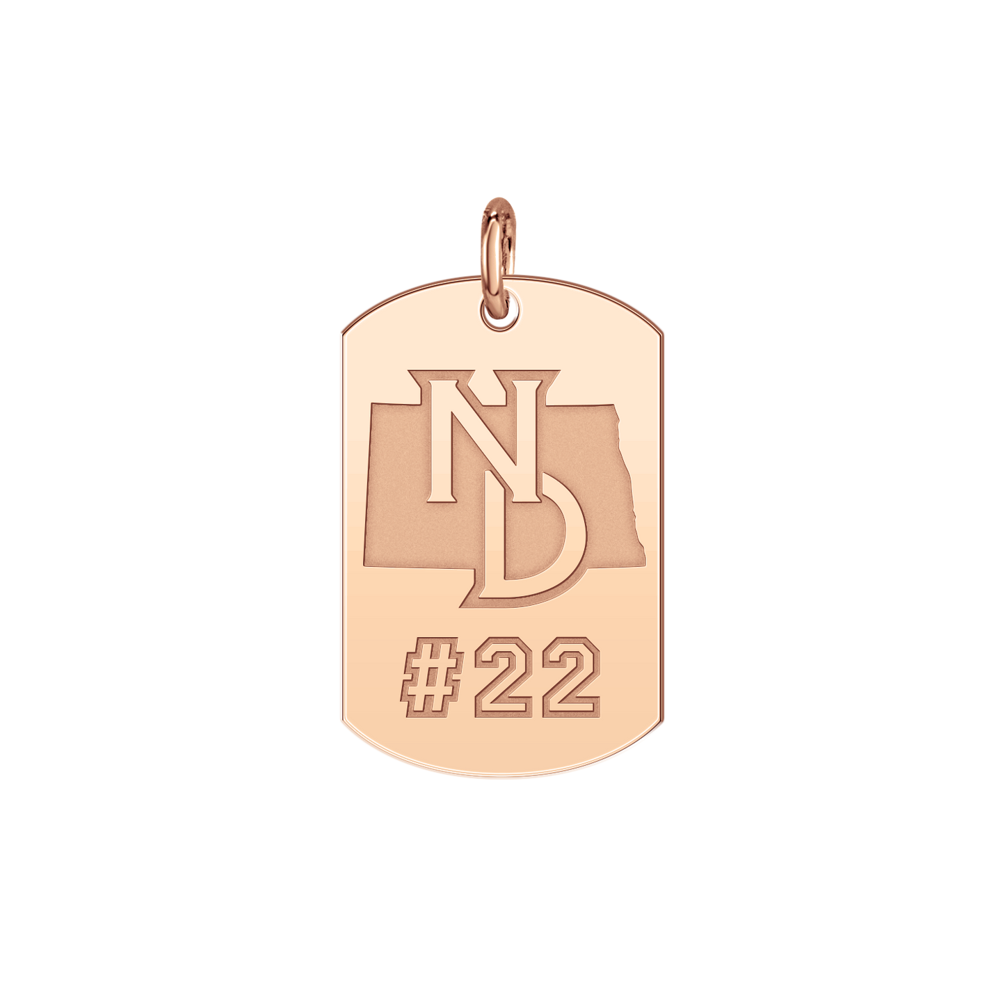North Dakota Players Tag Small