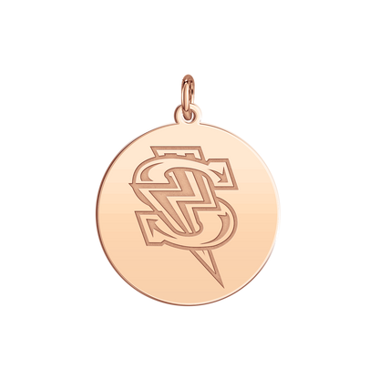 Windy City Storm Bolt Logo Disc Small