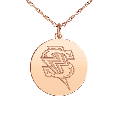 Windy City Storm Bolt Logo Disc Small