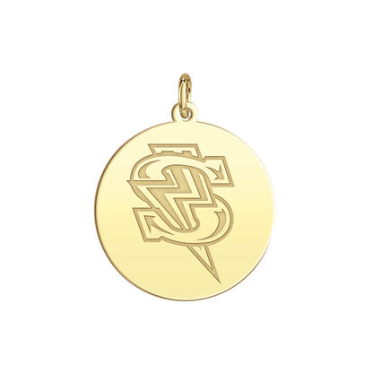 Windy City Storm Bolt Logo Disc Small