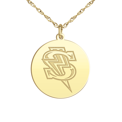 Windy City Storm Bolt Logo Disc Small