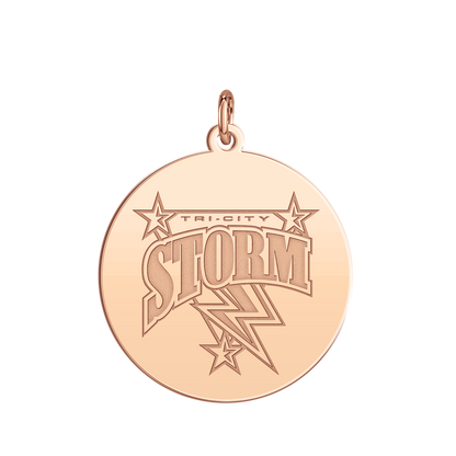 Windy City Storm Logo Disc Large