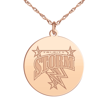Windy City Storm Logo Disc Large