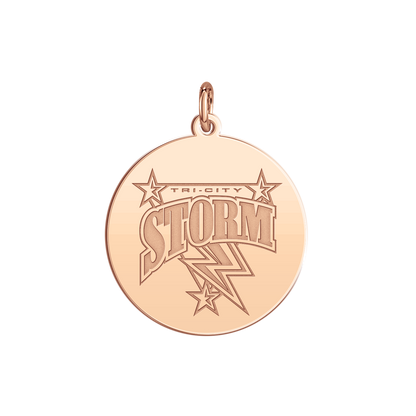 Windy City Storm Logo Disc Small