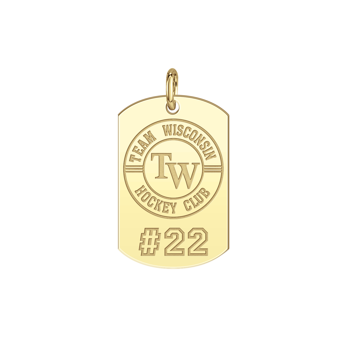 Team Wisconsin Players Tag Small